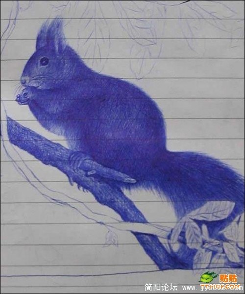xx1.jpg