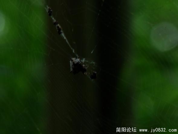 QQ截图未命名10.jpg