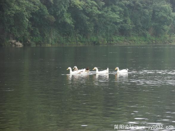 QQ截图未命名9.jpg