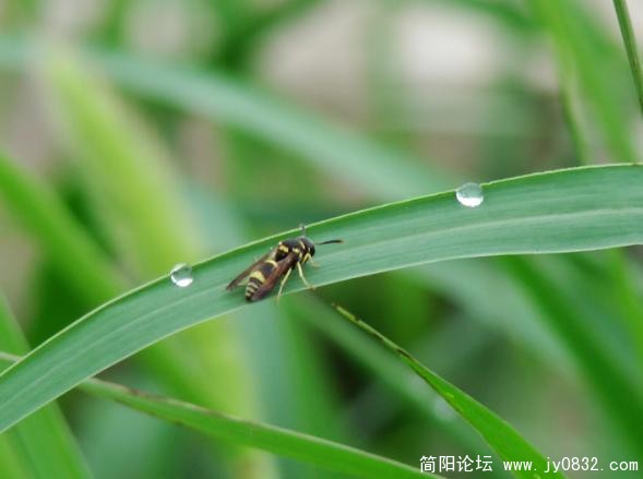 QQ截图未命名3.jpg