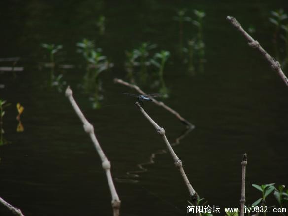 QQ截图未命名.jpg