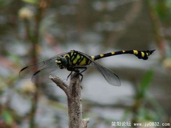 QQ截图未命名4.jpg