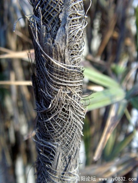 S73R0855.JPG