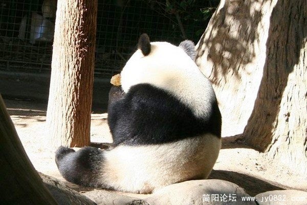躲开大家，我偷偷吃.jpg