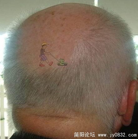 规定撒.jpg