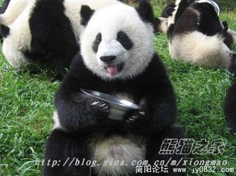 太好吃了.jpg