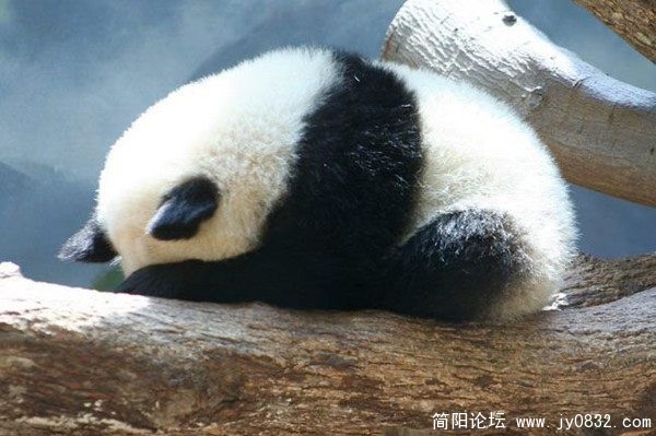 没脸见人了~~.jpg