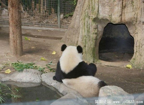 华清池旁的熊玉环.jpg