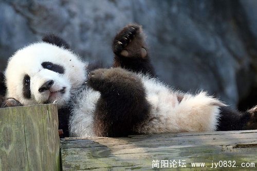 嘿嘿，闪亮登场ing.jpg