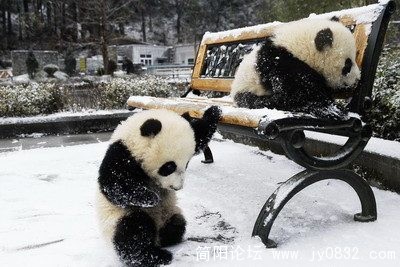 哥哥，这白白的是什么啊？.jpg