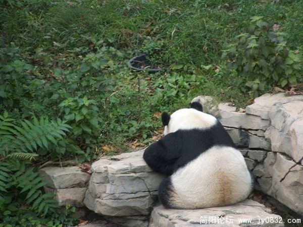 今天老师布置的作业真多.jpg