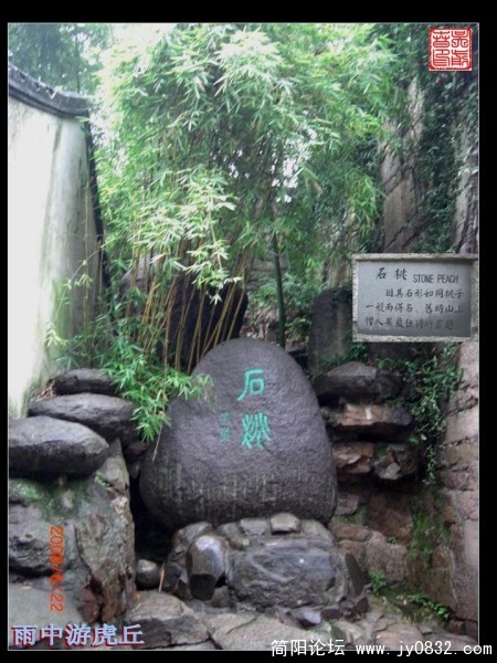 桃而石形 故名石桃.JPG