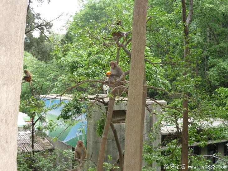 P1000067.JPG