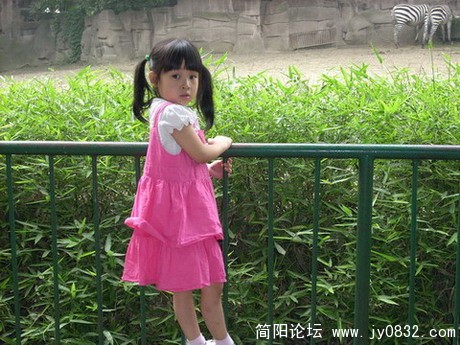 61照片 027.jpg