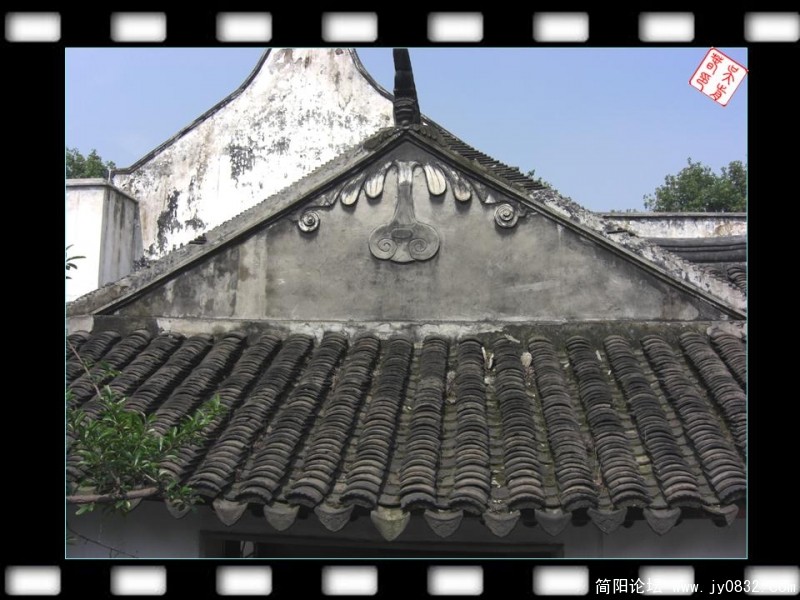 象牛鼻子.JPG