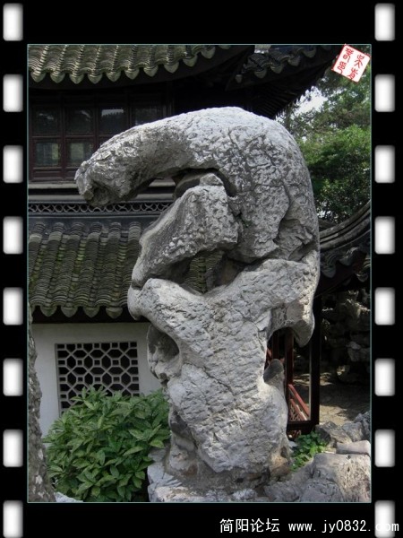 不像狮子像豹子.JPG