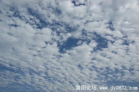 DSC02028.jpg