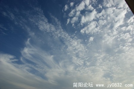 DSC02055.jpg