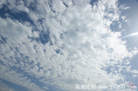 DSC02025.jpg