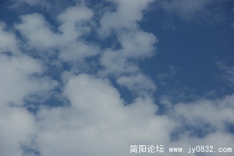 DSC02036.jpg