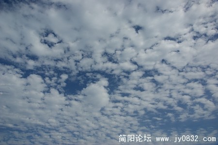 老人讲：天上起鲤鱼云，明天晒得跑不赢．