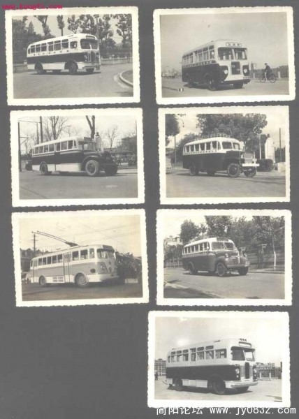 111.JPG