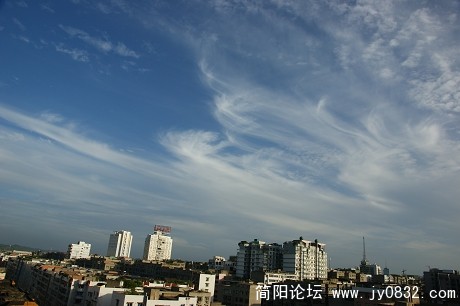 DSC02061.jpg