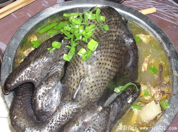 照片 008.jpg