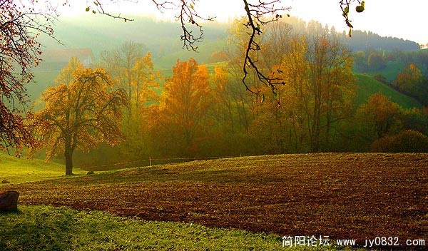 jjs123tw_1189074612932030.jpg