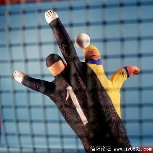 xin_37204050709285002442073.jpg