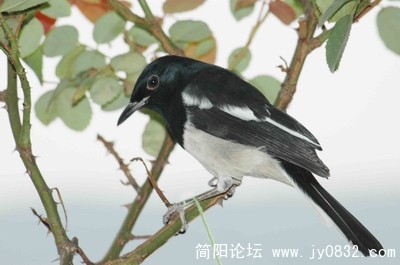 DSC_02491副本.jpg