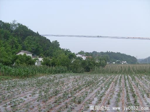 S7300418.JPG