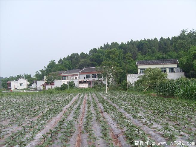 S7300263.JPG