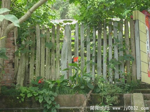 美国风格的栅栏？