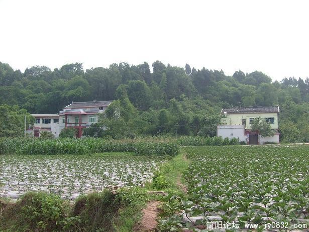 S7300267.JPG