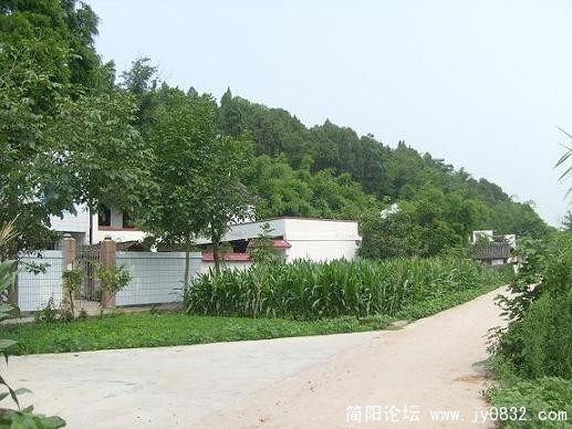 S7300357.JPG