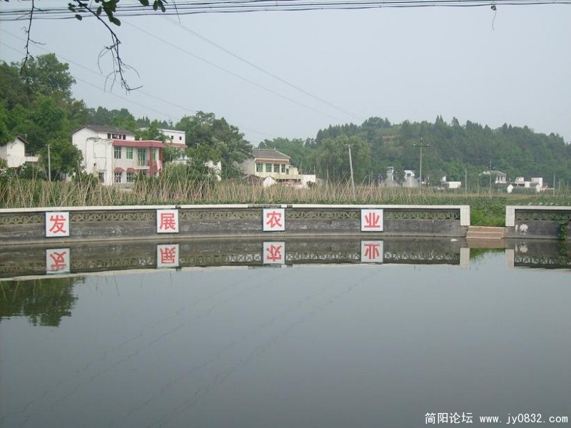 S7300236.JPG