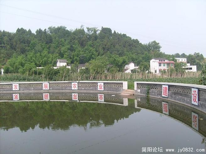 S7300244.JPG