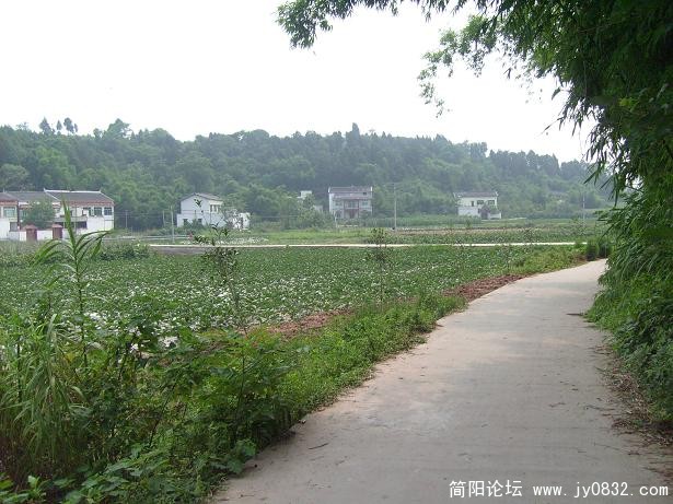 S7300292.JPG