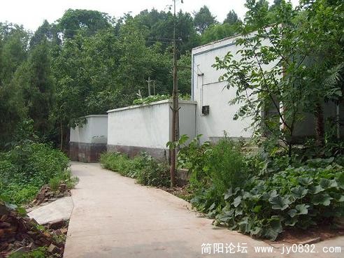 S7300298.JPG