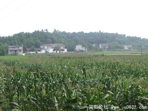 S7300327.JPG