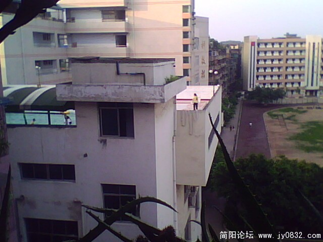 IMG0044A.jpg