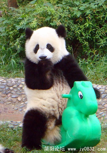 我幼儿园时也拍过这样的照片！.jpg