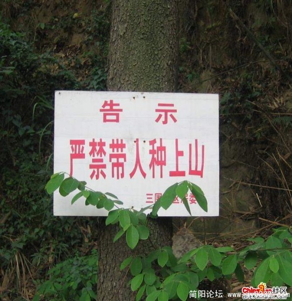 标语的最高境界