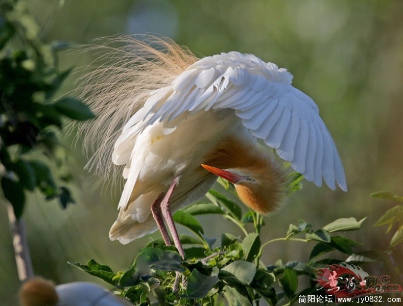 140_7693_3c3fe5bbd0a5cf6.jpg