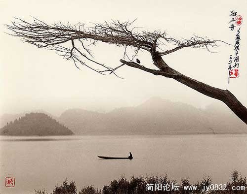 Img222448479.jpg