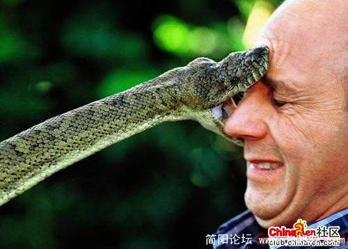 抓拍的最高境界