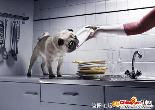 洗碗的最高境界