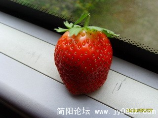 SSL22336.jpg