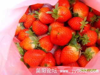 SSL22335.jpg